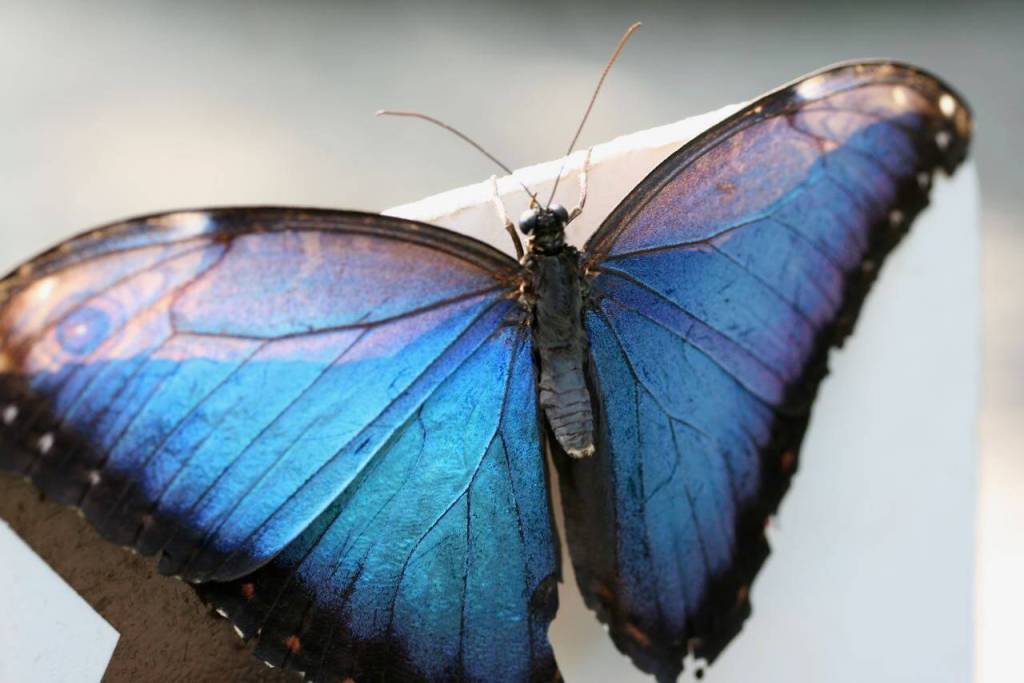 On Failure and&nbsp;Forgiveness