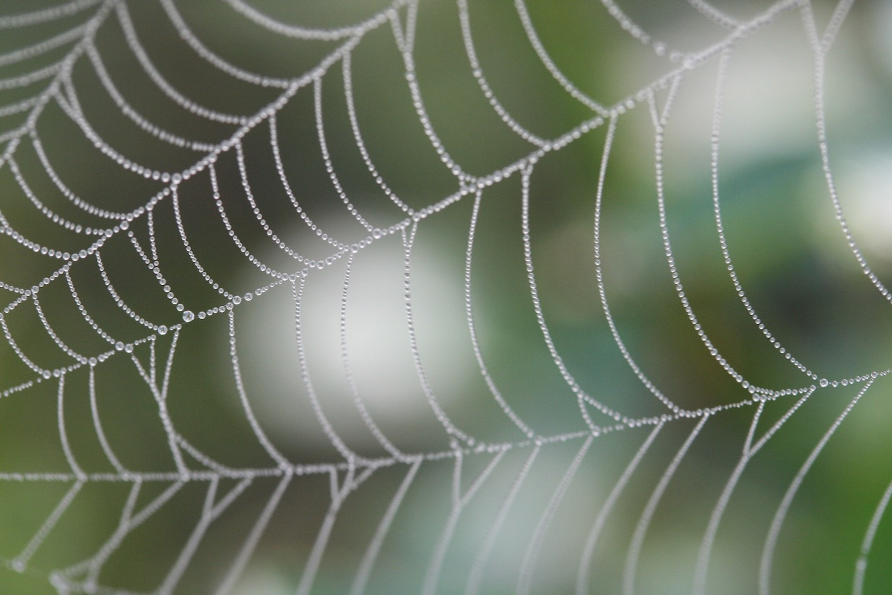 A metaphor for the writing life